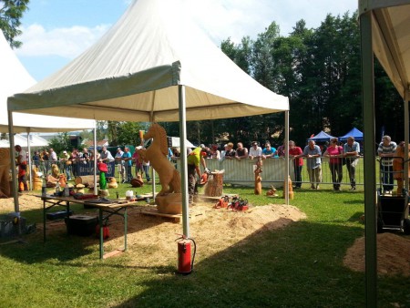 Start Speedcarving Eichenschuh